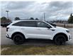 2022 Kia Sorento 2.5T EX (Stk: 0229PA) in Meaford - Image 4 of 13