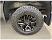 2024 Chevrolet Silverado 1500 Custom Trail Boss (Stk: 154138) in London - Image 20 of 20