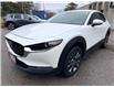 2022 Mazda CX-30 GT (Stk: 16184) in Newmarket - Image 1 of 50
