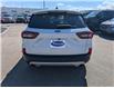 2025 Ford Escape Active (Stk: 19486) in Calgary - Image 6 of 25 2025 Ford Escape Active (Stk: 19486) in Calgary - Image 6 of 25