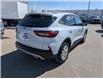 2025 Ford Escape Active (Stk: 19486) in Calgary - Image 8 of 25 2025 Ford Escape Active (Stk: 19486) in Calgary - Image 8 of 25