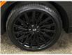 2024 Hyundai Santa Fe Ultimate Calligraphy (Stk: 43848J) in Belleville - Image 37 of 42