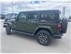 2024 Jeep Wrangler Sahara (Stk: W256469K) in Cranbrook - Image 3 of 19