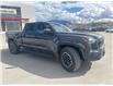 2024 Toyota Tacoma Base (Stk: W260563L) in Cranbrook - Image 7 of 20