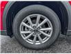 2025 Mazda CX-5 GS (Stk: 8430P) in ORILLIA - Image 7 of 20
