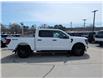 2026 Ford F-150 STX (Stk: F1454) in Miramichi - Image 6 of 12