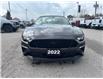 2022 Ford Mustang GT Premium (Stk: U9150A) in Uxbridge - Image 2 of 25