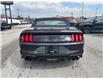 2022 Ford Mustang GT Premium (Stk: U9150A) in Uxbridge - Image 6 of 25