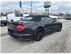 2022 Ford Mustang GT Premium (Stk: U9150A) in Uxbridge - Image 7 of 25