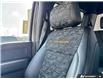 2026 Ford F-150 Tremor (Stk: AFL260243DT) in Hamilton - Image 16 of 21