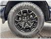 2026 Ford F-150 XLT (Stk: 260297) in Hamilton - Image 6 of 22