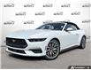 2026 Ford Mustang EcoBoost Premium (Stk: AFL260296) in Hamilton - Image 1 of 21
