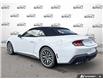 2026 Ford Mustang EcoBoost Premium (Stk: AFL260296) in Hamilton - Image 4 of 21