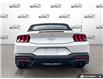 2026 Ford Mustang EcoBoost Premium (Stk: AFL260296) in Hamilton - Image 5 of 21