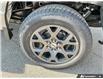 2026 Ford F-150 STX (Stk: AFL260248) in Hamilton - Image 6 of 19