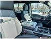 2026 Ford F-150 STX (Stk: AFL260248) in Hamilton - Image 16 of 19