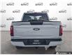 2026 Ford F-150 STX (Stk: 260260) in Hamilton - Image 5 of 19