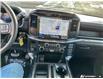 2026 Ford F-150 STX (Stk: 260260) in Hamilton - Image 14 of 19
