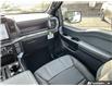 2026 Ford F-150 STX (Stk: 260260) in Hamilton - Image 19 of 19