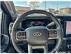 2026 Ford F-250 Lariat (Stk: 260206) in Hamilton - Image 10 of 21