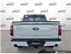 2026 Ford F-150 XLT (Stk: AFL260269) in Hamilton - Image 5 of 19