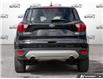 2019 Ford Escape SE (Stk: 502743) in St. Catharines - Image 5 of 27
