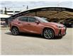 2025 Lexus UX 300h Base (Stk: 250843L) in Calgary - Image 2 of 18