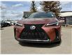 2025 Lexus UX 300h Base (Stk: 250843L) in Calgary - Image 4 of 18