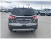 2014 Ford Escape SE (Stk: S089265A) in Cranbrook - Image 4 of 18
