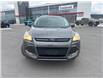 2014 Ford Escape SE (Stk: S089265A) in Cranbrook - Image 8 of 18