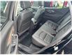 2024 GMC Terrain Denali (Stk: UT76020) in Cobourg - Image 10 of 18