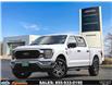 2023 Ford F-150  (Stk: PR64380) in Windsor - Image 1 of 27