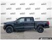 2026 Ford F-150 XLT (Stk: AFL260268) in Hamilton - Image 3 of 19
