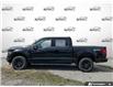 2026 Ford F-150 XLT (Stk: AFL260261) in Hamilton - Image 3 of 19
