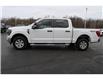 2023 Ford F-150  (Stk: TL15905) in Windsor - Image 2 of 27