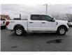 2023 Ford F-150  (Stk: TL15905) in Windsor - Image 7 of 27