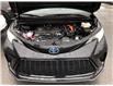 2025 Toyota Sienna XSE 7-Passenger (Stk: 225826) in Ottawa - Image 25 of 25