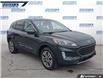 2022 Ford Escape SEL (Stk: P2226L) in Dartmouth - Image 6 of 24