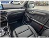 2022 Ford Escape SEL (Stk: P2226L) in Dartmouth - Image 24 of 24