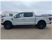2026 Ford F-150 Tremor (Stk: T43261) in Hague - Image 5 of 14