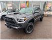 2023 Toyota Tacoma TRD Pro V6 (Stk: PL3160) in Pembroke - Image 1 of 27