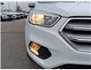 2019 Ford Escape SE (Stk: D5S185A) in Oakville - Image 6 of 31