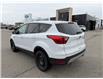 2019 Ford Escape SE (Stk: D5S185A) in Oakville - Image 9 of 31