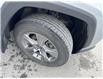 2024 Toyota RAV4 Hybrid XLE (Stk: 3040092A) in Cranbrook - Image 19 of 19