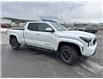 2025 Toyota Tacoma Base (Stk: X390730A) in Cranbrook - Image 7 of 22