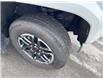 2025 Toyota Tacoma Base (Stk: X390730A) in Cranbrook - Image 22 of 22