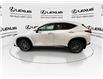 2023 Lexus NX 250  (Stk: 14U7449) in Markham - Image 6 of 25