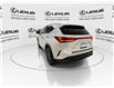 2023 Lexus NX 250  (Stk: 14U7449) in Markham - Image 7 of 25