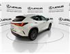 2023 Lexus NX 250  (Stk: 14U7449) in Markham - Image 9 of 25