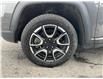 2024 Jeep Compass Trailhawk (Stk: 260326) in Ottawa - Image 21 of 21